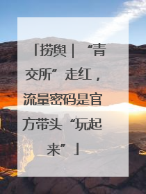 捞舆｜“青交所”走红，流量密码是官方带头“玩起来”