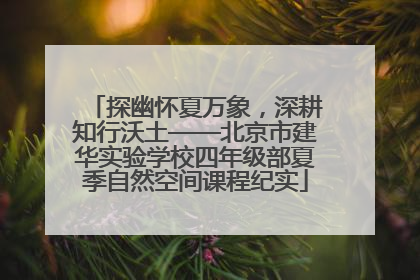 探幽怀夏万象，深耕知行沃土——北京市建华实验学校四年级部夏季自然空间课程纪实