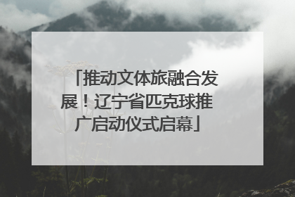 推动文体旅融合发展！辽宁省匹克球推广启动仪式启幕