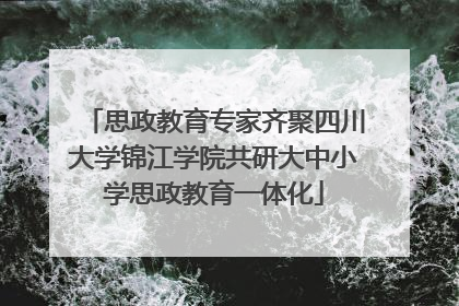 思政教育专家齐聚四川大学锦江学院共研大中小学思政教育一体化