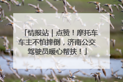 情报站｜点赞！摩托车车主不慎摔倒，济南公交驾驶员暖心帮扶！
