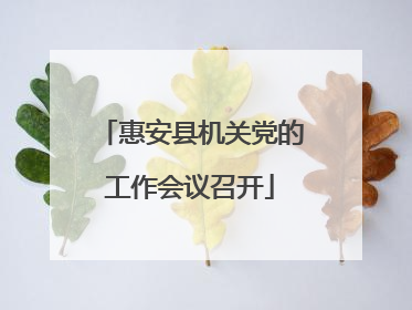惠安县机关党的工作会议召开
