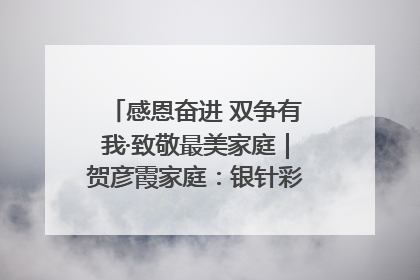 感恩奋进 双争有我·致敬最美家庭｜贺彦霞家庭：银针彩线绣出好日子