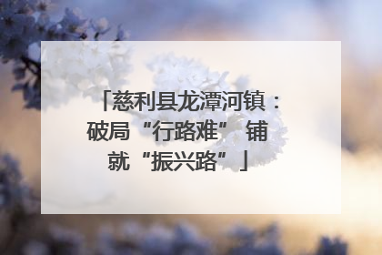 慈利县龙潭河镇：破局“行路难” 铺就“振兴路”