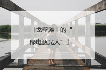 戈壁滩上的“绿电逐光人”