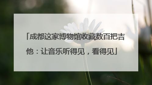 成都这家博物馆收藏数百把吉他：让音乐听得见，看得见