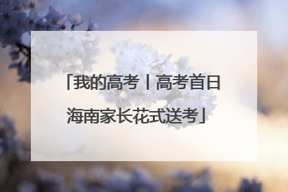 我的高考丨高考首日 海南家长花式送考