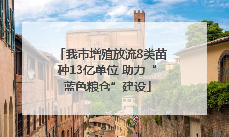 我市增殖放流8类苗种13亿单位 助力“蓝色粮仓”建设