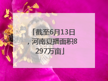 截至6月13日，河南夏播面积8297万亩