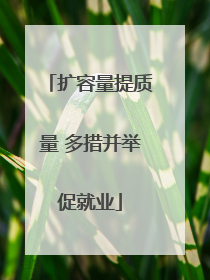 扩容量提质量 多措并举促就业