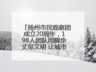 扬州市民观察团成立20周年，198人团队用脚步丈量文明 让城市更有温度