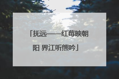 抚远——红莓映朝阳 界江听熊吟
