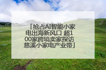 抢占AI智能小家电出海新风口 超100家跨境卖家探访慈溪小家电产业带