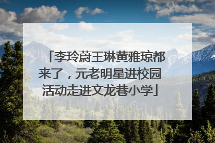 李玲蔚王琳黄雅琼都来了，元老明星进校园活动走进文龙巷小学