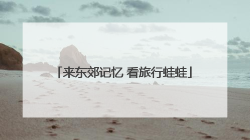 来东郊记忆 看旅行蛙蛙