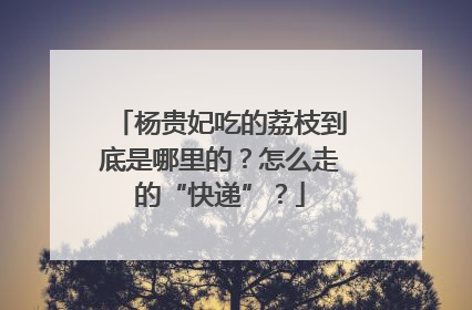杨贵妃吃的荔枝到底是哪里的？怎么走的“快递”？