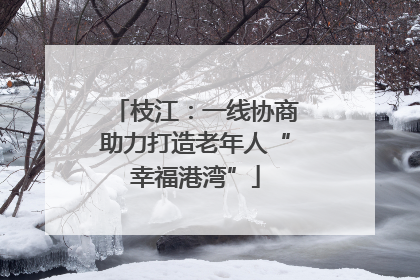 枝江：一线协商助力打造老年人“幸福港湾”