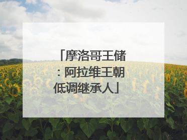 摩洛哥王储：阿拉维王朝低调继承人
