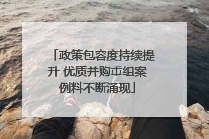 政策包容度持续提升 优质并购重组案例料不断涌现