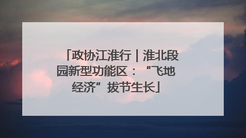 政协江淮行｜淮北段园新型功能区：“飞地经济”拔节生长