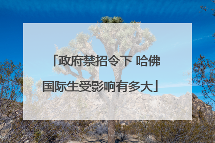 政府禁招令下 哈佛国际生受影响有多大