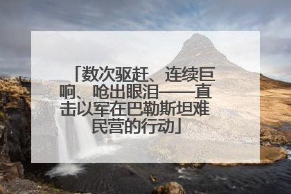 数次驱赶、连续巨响、呛出眼泪——直击以军在巴勒斯坦难民营的行动
