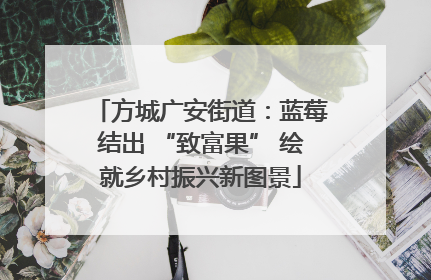 方城广安街道：蓝莓结出 “致富果” 绘就乡村振兴新图景
