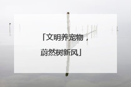 文明养宠物，蔚然树新风