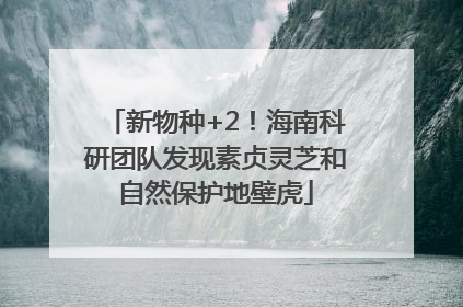 新物种+2！海南科研团队发现素贞灵芝和自然保护地壁虎