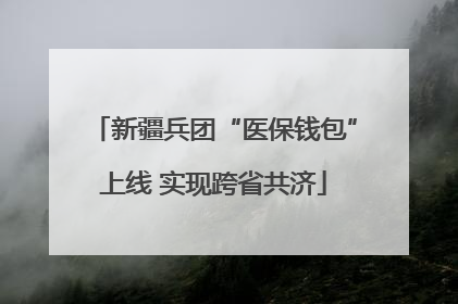 新疆兵团“医保钱包”上线 实现跨省共济