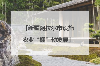 新疆阿拉尔市设施农业“棚”勃发展