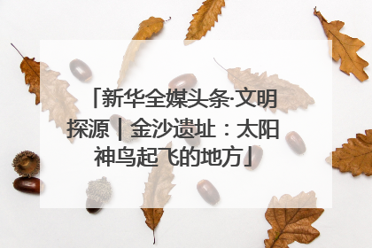 新华全媒头条·文明探源｜金沙遗址：太阳神鸟起飞的地方