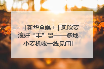新华全媒+｜风吹麦浪好“丰”景——多地小麦机收一线见闻
