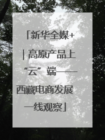 新华全媒+｜高原产品上“云”端——西藏电商发展一线观察