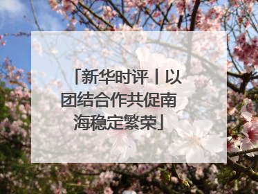 新华时评丨以团结合作共促南海稳定繁荣