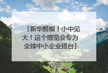 新华鲜报丨小中见大！这个博览会专为全球中小企业搭台