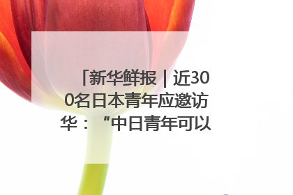 新华鲜报｜近300名日本青年应邀访华：“中日青年可以创造更好的未来”