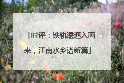 时评：铁轨逶迤入画来，江南水乡谱新篇