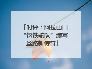 时评：阿拉山口“钢铁驼队”续写丝路新传奇
