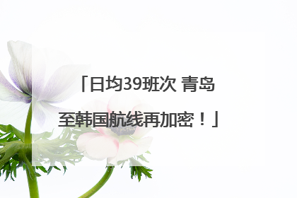 日均39班次 青岛至韩国航线再加密！
