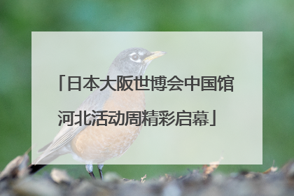 日本大阪世博会中国馆河北活动周精彩启幕