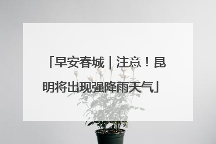 早安春城｜注意！昆明将出现强降雨天气