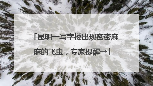 昆明一写字楼出现密密麻麻的飞虫，专家提醒→