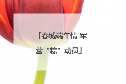 春城端午情 军营“粽”动员