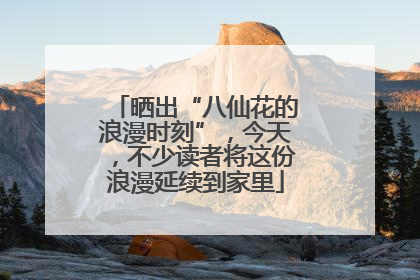 晒出“八仙花的浪漫时刻”，今天，不少读者将这份浪漫延续到家里