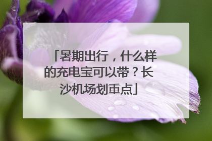 暑期出行，什么样的充电宝可以带？长沙机场划重点