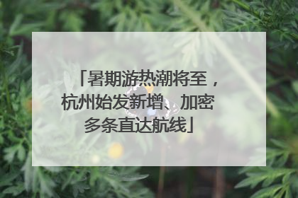 暑期游热潮将至，杭州始发新增、加密多条直达航线
