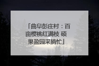 曲阜彭庄村：百亩樱桃红满枝 硕果盈园采摘忙