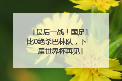 最后一战！国足1比0绝杀巴林队，下一届世界杯再见