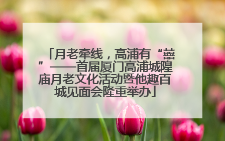 月老牵线，高浦有“囍”——首届厦门高浦城隍庙月老文化活动暨他趣百城见面会隆重举办